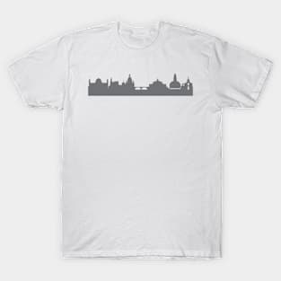 Dresden in gray T-Shirt